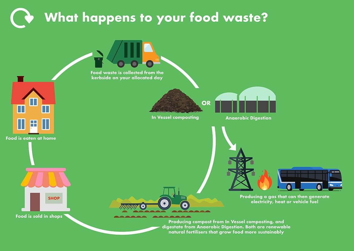 How is my food waste recycled? How To Waste Less